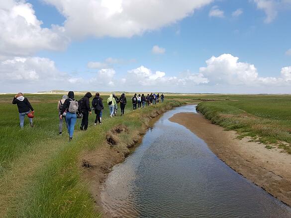 Texel